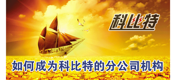如何成为APP大全免费下载大全网站分公司